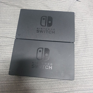 닌텐도 스위치 티비독