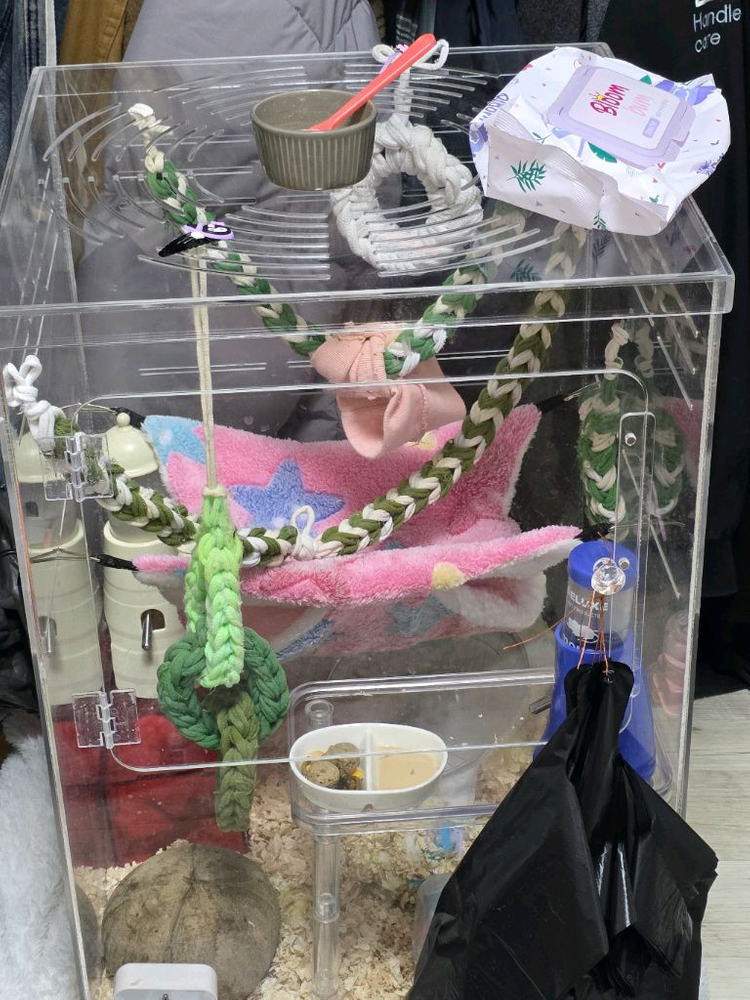 피그미다람쥐, 용품 일괄 이미지