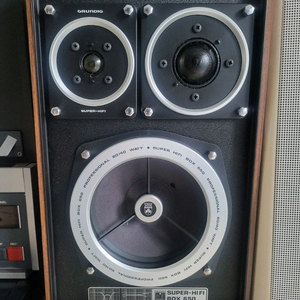 그룬딕 650 Professional A급 팝니다