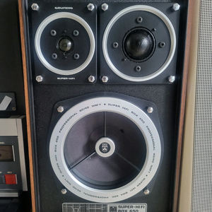 그룬딕 650 Professional A급 팝니다