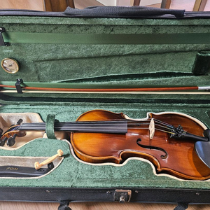 효정300 4/4 바이올린 세트