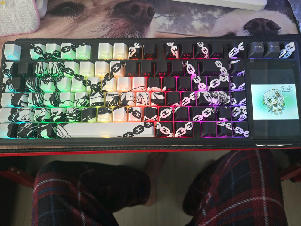 독거미 (AULA) L99 팝니다.--3