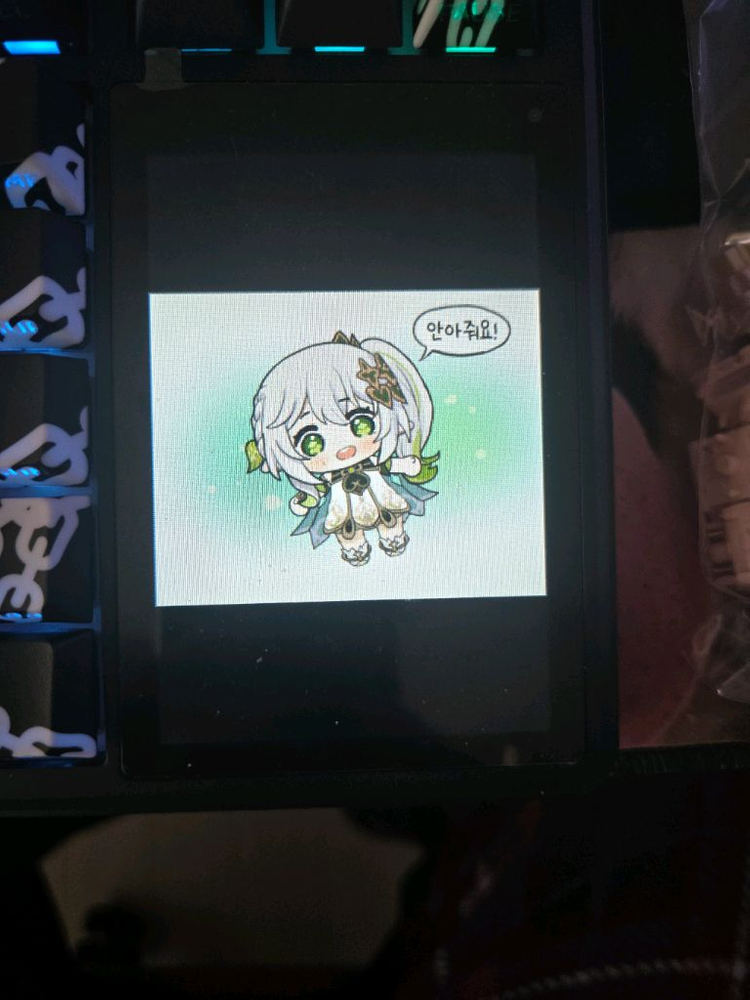 독거미 (AULA) L99 팝니다.--4