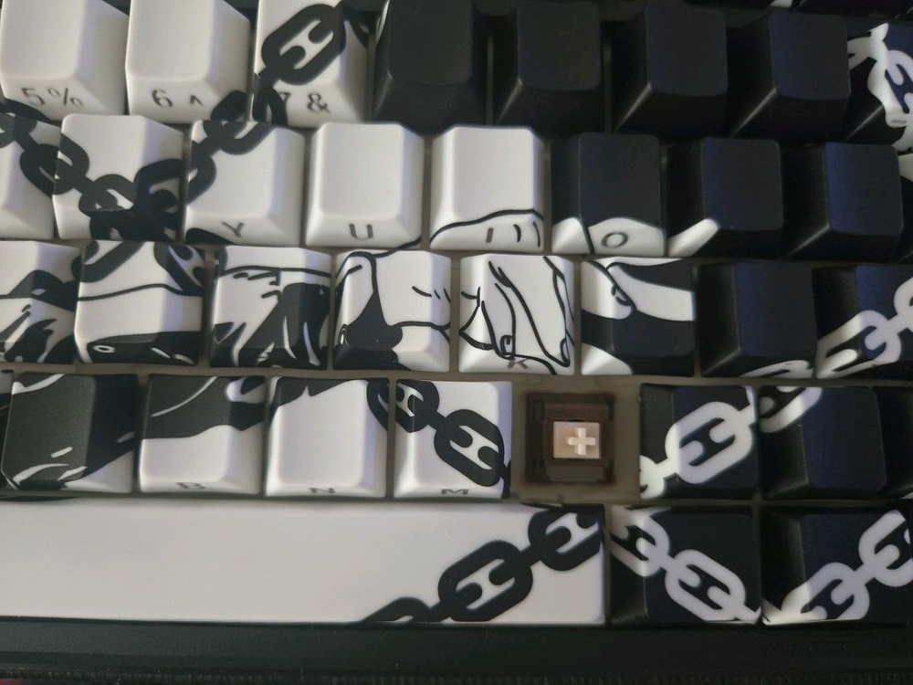 독거미 (AULA) L99 팝니다.--5