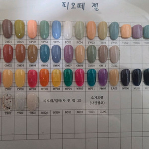 피오떼젤 (네일/새상품)