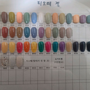 피오떼젤 (네일/새상품)