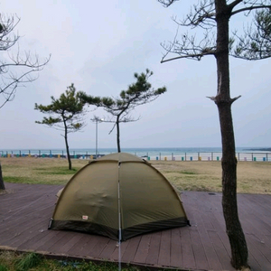 피엘라벤 아비스코돔3 샌드색 판매합니다