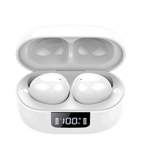 픽스 버즈 F2 XWS-102