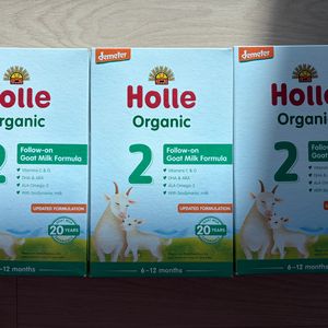 홀레 산양 2단계