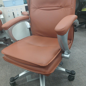인체공학 사무용 의자