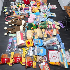 강아지 장난감 대용량 세트 (새상품)