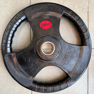 25kg 중량 헬스 바벨 원판 1개