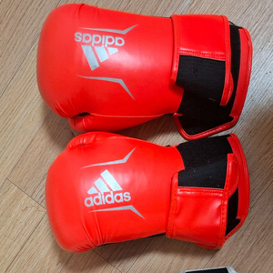 복싱 글러브 각각 10온스 12온스