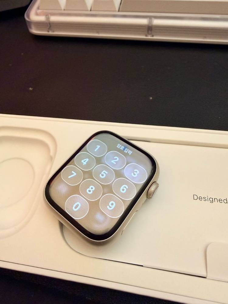 애플워치9 45mm 셀룰러 (애플케어플러스 26.11.27만료)--2