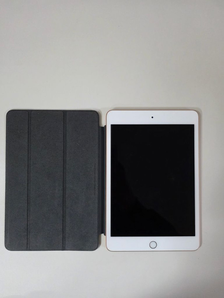 최저가)아이패드 미니5세대 256기가+정품 애플펜슬,커버 포함 판매합니다--0