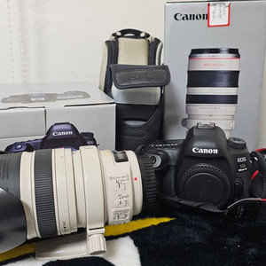 캐논 EOS 5D Mark IV + EF 28-300mm 렌즈 +캐논 스피드 라이트 430EX 이미지