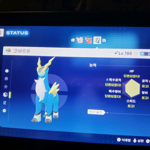 포켓몬스터 ZA 레전즈 이로치 코바르온 우두머리x 우두로치 x