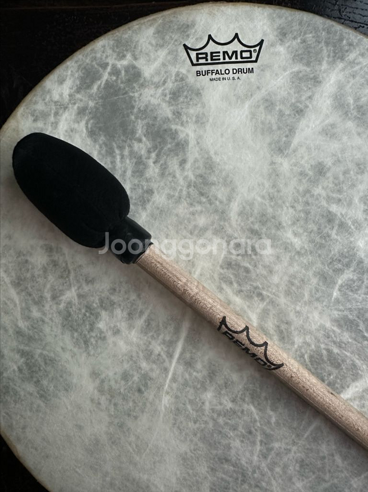 REMO 레모 버팔로 프레임 드럼 8인치(30cm)--2