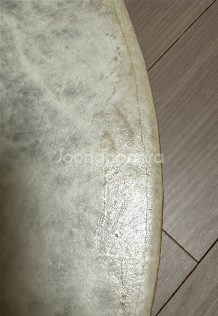 REMO 레모 버팔로 프레임 드럼 8인치(30cm)--9