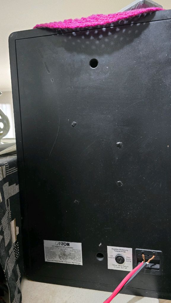 캔톤 GLE70 스피커--2