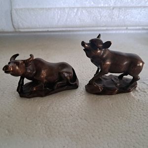 동브론즈 12지 띠