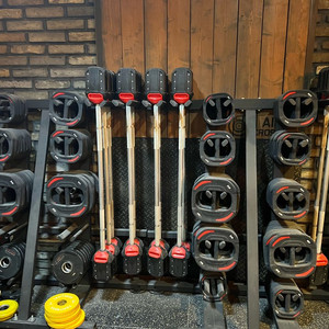 레즈밀 스마트바벨 세트팝니다