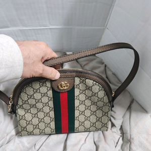 오피디아 GG 캔버스 크로스백