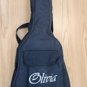 Olivia Chloe AEQ-130 올리비아 기타 팝니다.