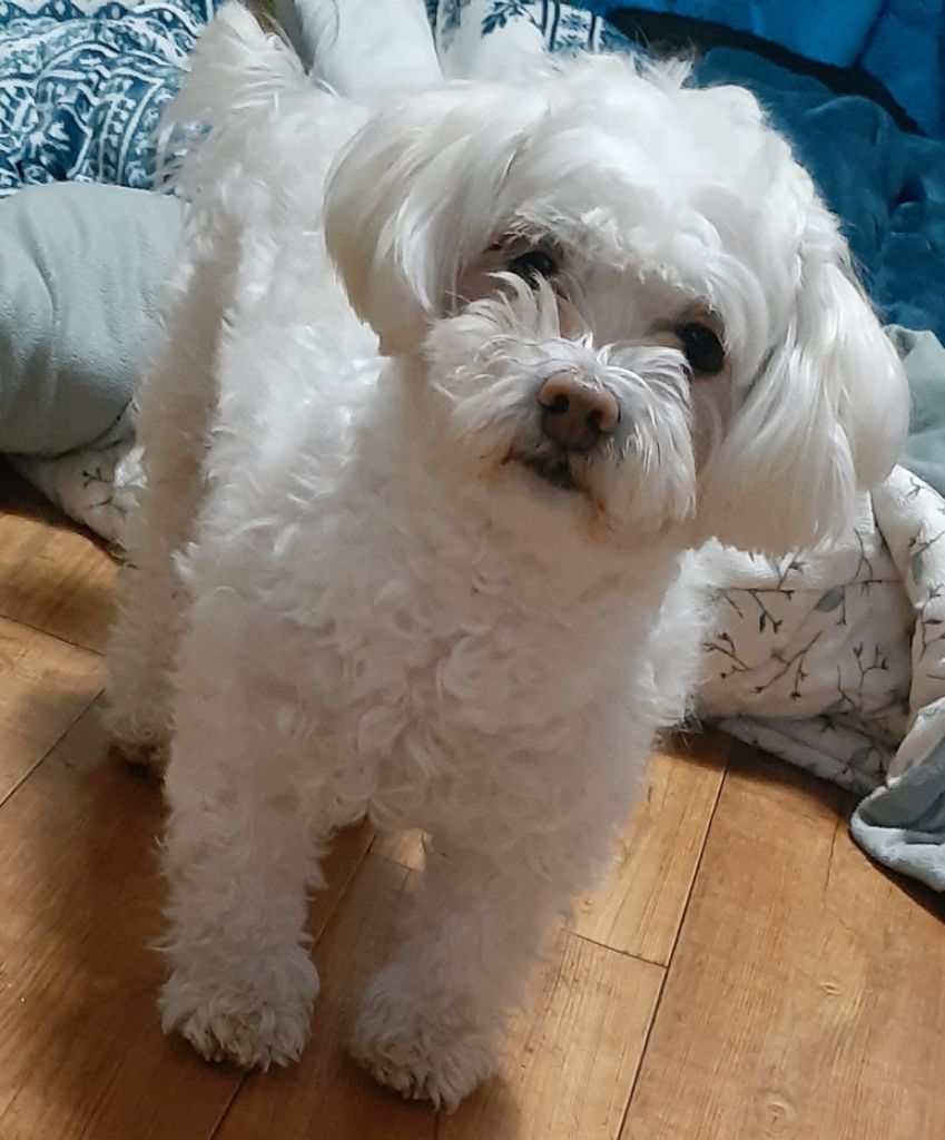 프로필 이미지