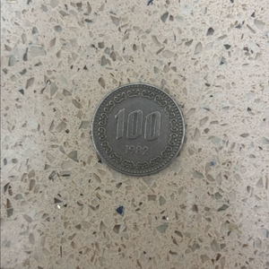 1982년도 100원 동전