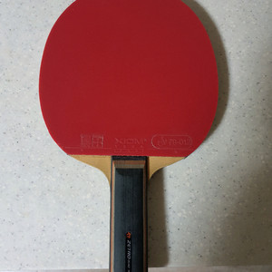 엑시옴 라켓+베가프로 러버