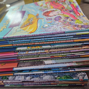 스쿨버스 책 30권 cd 1집 2집 DVD 15 + 책 세트