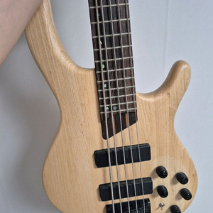 Cort b5 element 5현 베이스기타 팝니다.