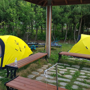 블랙다이아몬드 피츠로이 + 베스티블