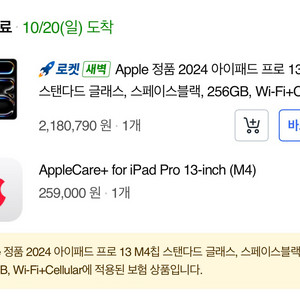 아이패드 프로 13인치 M4 256GB 셀룰러