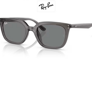 레이벤 선글라스 RB4439D