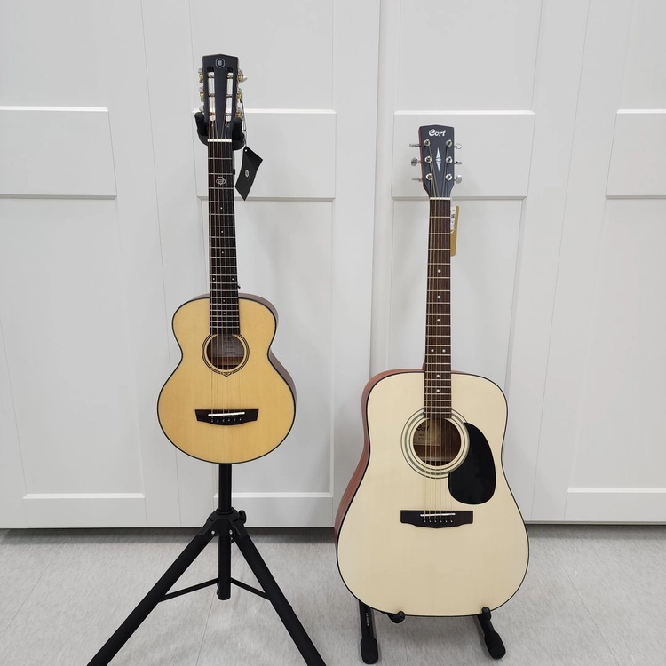 헥스 슈퍼 미니 Guitar BB100S 이미지