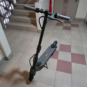 나인봇 맥스 G30 전동 킥보드