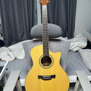 크래프터 글로리아 탑솔리드 기타