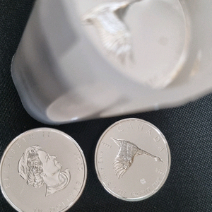 캐나다구스 포나인 실버코인 1튜브팝니다.