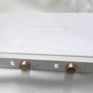 삼성 더플레이트 2구 인덕션 NZ62DG300CFW