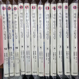 재와 환상의 그림갈 전권 (1~12권) 소설세트 초판 특전포함