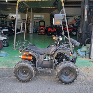 작지만 힘좋습니다 125cc ATV(사륜바이크)