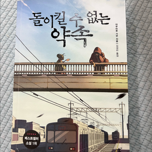 돌이킬수없는 약속 소설책