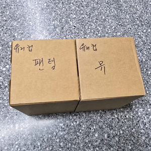 포켓몬 컵 (뮤와 팬텀)