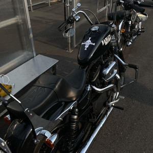 할리데이비슨 국내 얼마 없는 희소성 XL883R