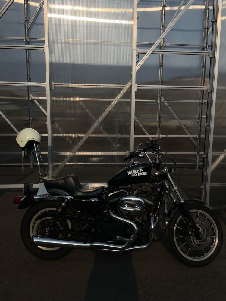 할리데이비슨 국내 얼마 없는 희소성 XL883R--1