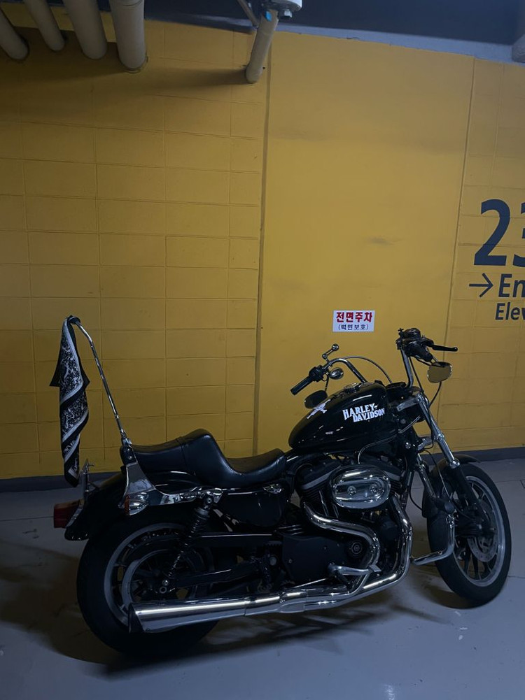 할리데이비슨 국내 얼마 없는 희소성 XL883R--5