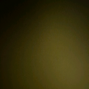 스타벅스 프리퀀시 1400/400