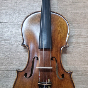 4/4 오데이온 500s 바이올린